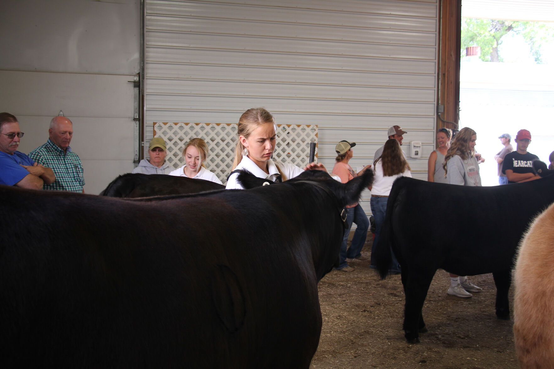PHOTOS: More from the Scotts Bluff County Fair 2020